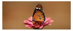 Tablou cu fluture pe floare (120x50 cm)