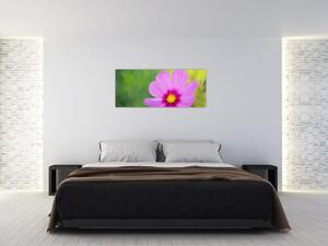 Tablou - floare de câmp (120x50 cm)