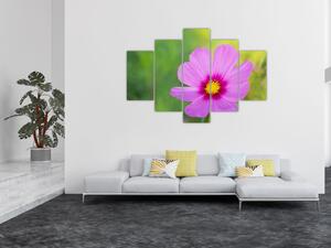 Tablou - floare de câmp (150x105 cm)