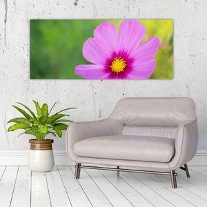 Tablou - floare de câmp (120x50 cm)