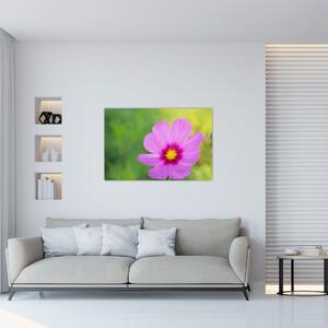 Tablou - floare de câmp (90x60 cm)
