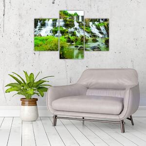 Tablou - cascade cu plante (90x60 cm)