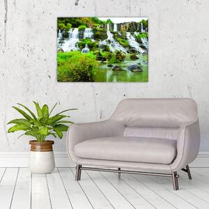 Tablou - cascade cu plante (70x50 cm)