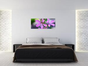 Tablou cu floarea detailat (120x50 cm)