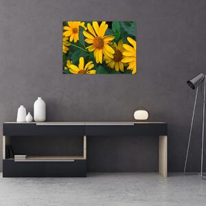 Tablou cu flori galbene (70x50 cm)