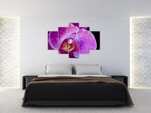 Tablou detailat cu floare de orhidee (150x105 cm)
