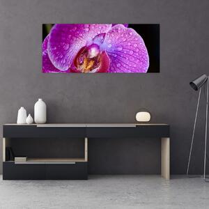 Tablou detailat cu floare de orhidee (120x50 cm)