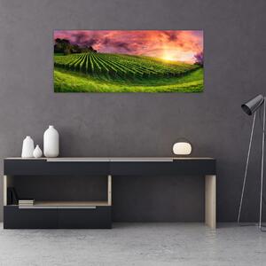 Tablou cu vie cu cerul color (120x50 cm)