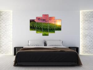 Tablou cu vie cu cerul color (150x105 cm)