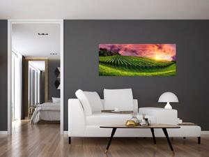 Tablou cu vie cu cerul color (120x50 cm)