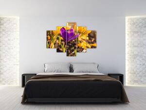 Tablou cu floare violetă (150x105 cm)