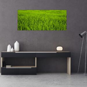 Tablou cu iaraba (120x50 cm)