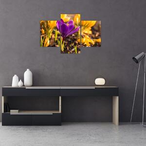 Tablou cu floare violetă (90x60 cm)
