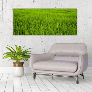 Tablou cu iaraba (120x50 cm)