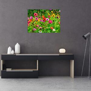 Tablou cu flori de luncă (70x50 cm)