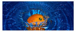 Tablou - portacala în apă (120x50 cm)