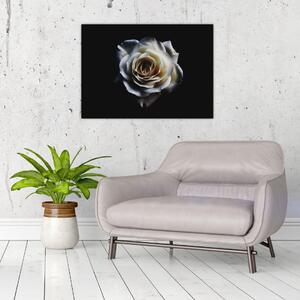 Tablou cu trandafir alb (70x50 cm)