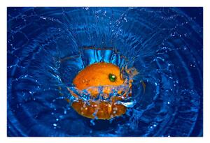 Tablou - portacala în apă (90x60 cm)
