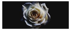 Tablou cu trandafir alb (120x50 cm)