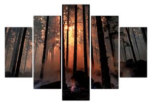 Tablou cu pădure întunecată (150x105 cm)