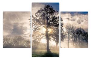 Tablou cu copac în ceață (90x60 cm)