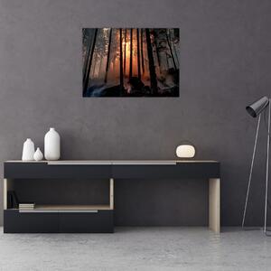 Tablou cu pădure întunecată (70x50 cm)