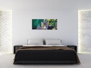 Tablou cu pisicuțe (120x50 cm)