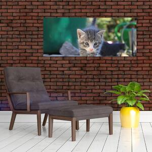 Tablou cu pisicuțe (120x50 cm)