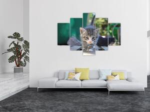 Tablou cu pisicuțe (150x105 cm)