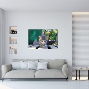 Tablou cu pisicuțe (90x60 cm)
