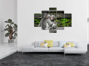 Tablou - maimuțica (150x105 cm)