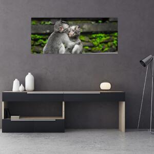 Tablou - maimuțica (120x50 cm)