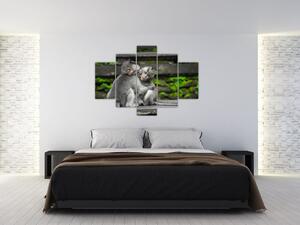 Tablou - maimuțica (150x105 cm)