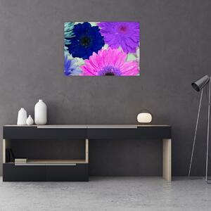 Tablou cu flori colorate (70x50 cm)