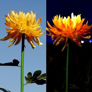 Lampa Solara LED tip Crizantema cu o floare pentru Gradina, Inaltime 80 cm, Tahagov