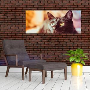 Tablou pisica neagră (120x50 cm)