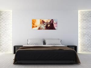 Tablou pisica neagră (120x50 cm)