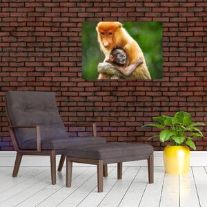 Tablou cu maimuțe (70x50 cm)