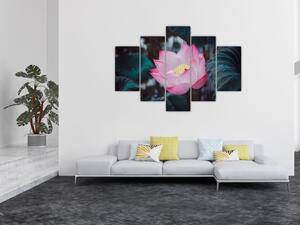 Tablou cu floare roz (150x105 cm)