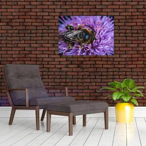 Tablou cu albina pe floare (70x50 cm)