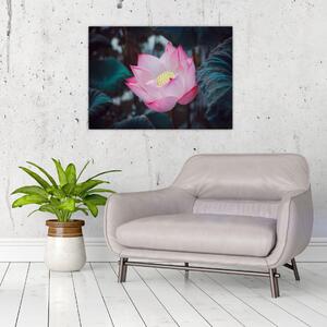 Tablou cu floare roz (70x50 cm)