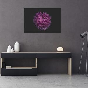 Tablou cu floare violetă (90x60 cm)