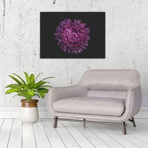 Tablou cu floare violetă (70x50 cm)