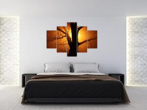 Tablou cu copac în apus de soare (150x105 cm)