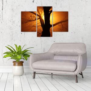 Tablou cu copac în apus de soare (90x60 cm)
