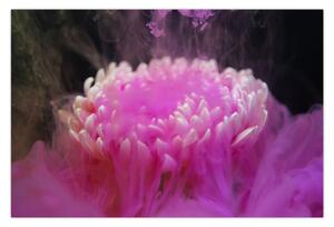 Tablou cu floare în fum roz (90x60 cm)