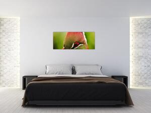 Tablou cu pasărea colorată (120x50 cm)