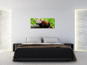 Tablou cu panda roșie (120x50 cm)
