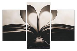 Tablou cu carte (90x60 cm)