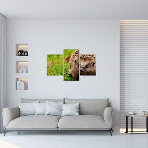 Tablou cu arici (90x60 cm)